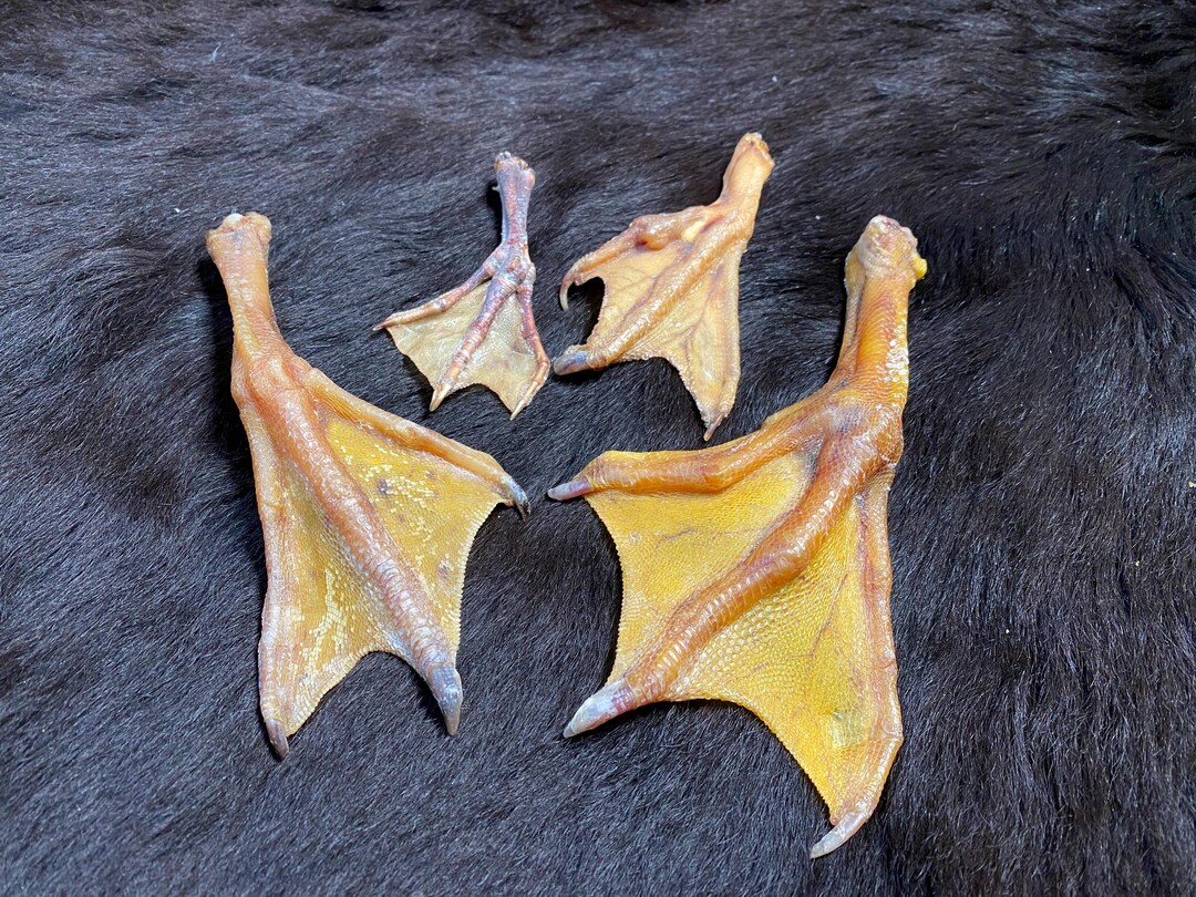Goose Voodoo Single Goose Foot & Duck Foot, Selectable Unique Pieces, 16-18 Cm, No ...