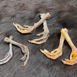 Pair of chicken feet, 10-14 cm, Gallus gallus domesticus, talisman, protection, voodoo, spiritual