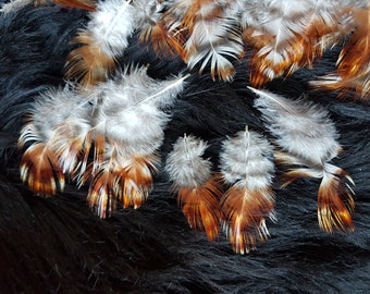 30 feathers, 3-8 cm, naked neck rooster, decorative feathers, chicken feathers, rooster feathers, decorative feathers (O10)