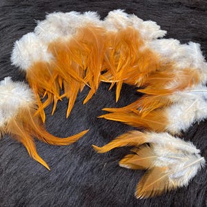 Può includere: Una collezione di piume con una sfumatura da bianco a arancione dorato. Le piume sono disposte su una superficie scura e strutturata, creando un contrasto visivo. Queste piume sono probabilmente utilizzate per l'artigianato o la decorazione.