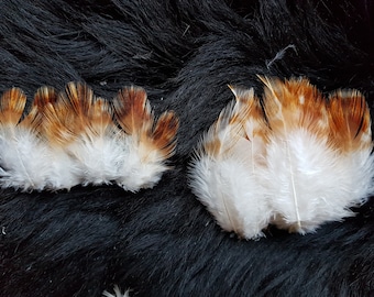 22 feathers, 6-8 cm, natural feathers, decorative feathers, chicken feathers, rooster feathers, decorative feathers (O29)