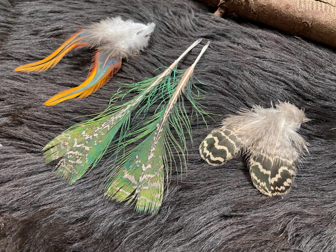 3 X 2 Pairs of Feathers, 7-25 Cm, Natural Rooster Feathers, Feathers ...