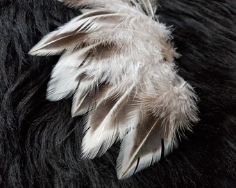 25 plumas de 7-12 cm, plumas de gallo, decoración de Pascua, carnaval, plumas de gallo, plumas decorativas, fiesta de cumpleaños infantil (K6)