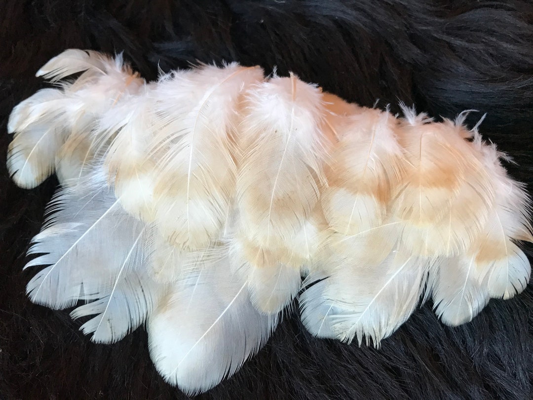 28 Feathers, 5-7 Cm, Yellow-white Feathers for Easter Wreaths, Feathers ...