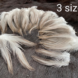 Puede incluir: Un conjunto de plumas grises claras con puntas marrones, dispuestas sobre una superficie marrón oscura. El texto "3 sizes" es visible. Las plumas varían en tamaño y forma, con un aspecto suave y texturado.