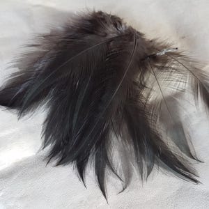 25 feathers, 9-12 cm, black feathers, mystical feathers, shrine decoration, ritual bird feathers dark, narrow craft feathers