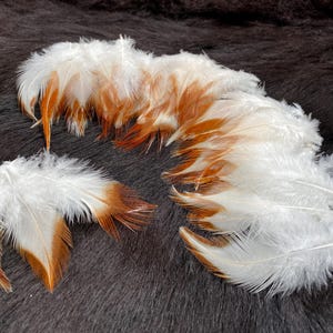 25 plumas, 6-8 cm, plumas naturales de colores, plumas para decoración navideña, bonitas plumas de gallo, plumas para ramo de Pascua, decoración de Pascua