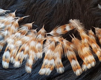 35 mini feathers, 1.5-3 cm, chicken feathers, natural feathers, decorative feathers, rooster feathers, Easter bouquet, Easter decoration (O21)