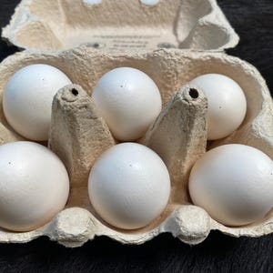 May include: A moulded fibre egg carton containing six smooth, white, oval-shaped eggs. The carton is open, revealing the individual compartments for each egg, with a light beige, textured paper pulp construction and visible printed text inside.