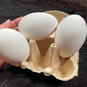 May include: Three white eggs in a brown cardboard egg carton. The eggs are arranged in a triangle shape.