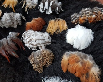 12 Natural Feathers for Crafts, 4–12 cm, Mixed Farm Bird Feathers, Ethical Free Range Feathers, Costume & DIY