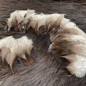 30 feathers, 4-5 cm, grey rooster feathers, feathers from species-appropriate husbandry, feathers for arrow making, feathers for Viking shaman