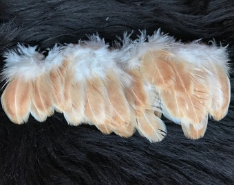 25 feathers, 6-9 cm, craft feathers from species-appropriate husbandry, inexpensive, natural feathers, decorative feathers, rooster feathers, decorating, Indian (O5)