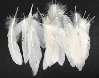 10 feathers, 10-18 cm, flight feathers, natural feathers, craft feathers, decorative feathers, decorative feathers, Easter, Carnival (A08)