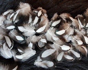 35 feathers, 1-4 cm, Easter decoration, carnival, rooster feathers, decorative feathers, children's birthday party (O44)