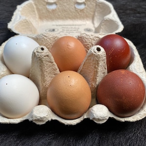 May include: A moulded paper pulp egg carton containing six eggs in a two-by-three grid. The eggs vary in colour, featuring two white eggs, two light brown eggs, and two dark reddish-brown eggs. Each egg has a small, distinct hole at the top.