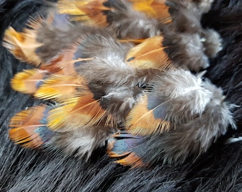40 mini plumes, 2-4 cm, plumes naturelles, plumes décoratives, plumes de coq, bouquet de Pâques, décoration de Pâques (O09)