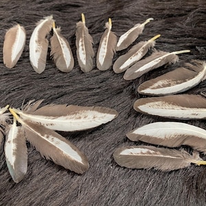 20 feathers, 3-5 cm, small flight feathers, feathers for dream catchers, colorful feathers for hats, pin-on feathers, short colorful bird feathers, carnival decoration