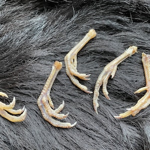 May include: Five dried chicken feet, showing claws and textured skin. The feet are tan and beige, with some small feathers. They are arranged on a dark grey, furry surface.