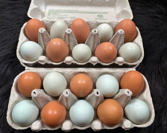 RiloStore 12 stuks paaseieren zwart goud kleuren kippeneieren uitgeblazen paasdecoratie stippen strepen o945 eieren Pasen decoratie knutselen Edel paasversiering
