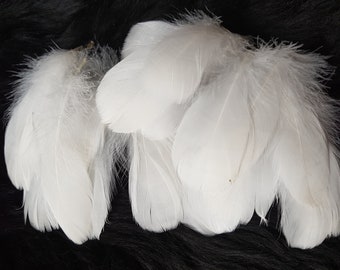 B-stock!!! 10 feathers, 10-18 cm, white-grey, goose feathers, species-appropriate husbandry, cheap natural feathers, craft feathers, decorative feathers, carnival (D14)