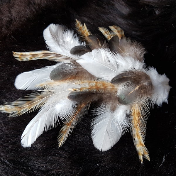 45 mélanges de plumes, 4-12 cm, 3 variétés, attitude adaptée à l'espèce, mélange de plumes artisanales, plumes naturelles, Noël, décoration, lanterne, indien, carnaval, déguisement (n° P4)