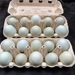 10 bunte natürliche ausgepustete Ostereier nicht gefärbt, natürlich, zu Ostern, Bastel Eier, Deko, Osterschmuck, Osterstrauß