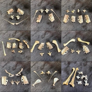 kleine Knochen Mixsets, Talismane, Ritual, Gothic, Viking, Vickinger, Wilder Westen