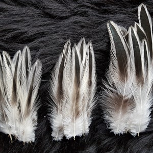 May include: Three sets of decorative feathers in shades of white, grey, and black. The feathers are displayed on a dark, textured surface, which accentuates their delicate details. Suitable for craft projects and decorative purposes.