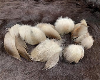 20 Luisveren 8-12 Cm // Marabuveren Knutselveren Kippenveren Decoratieveren Lindegroen