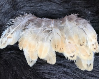 30 feathers, 5-8 cm, natural feathers, decorative feathers, chicken feathers, rooster feathers, decorative feathers (O06)