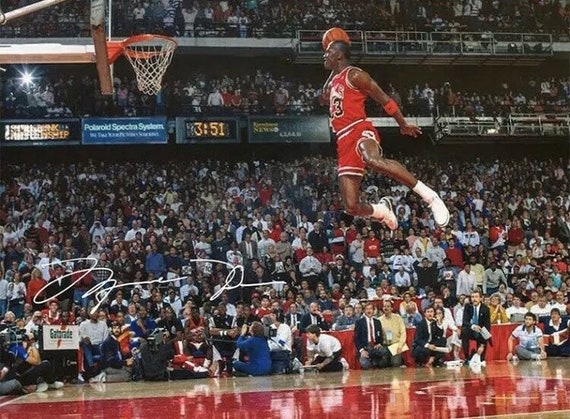 michael jordan signature dunk