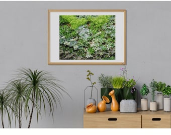 Living Wall - Digital Download