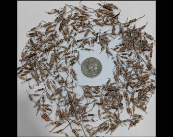 100+ Resistors Computer Parts, Components, Pieces for Craft and Jewelry Making, Geek Jewelry Parts, Steampunk Supplies