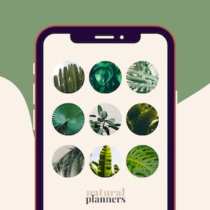 Instagram Highlight Cover Icons Verdure naturelle Ig Highlights Images Style de flux esthétique 60 photographies circulaires de haute qualité PNG