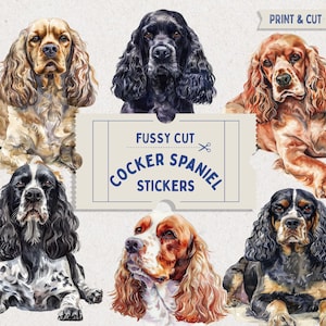 May include: Six watercolour illustrations of Cocker Spaniel dogs. The dogs are in various poses and have different coloured fur, including black, brown, and white. The illustrations are surrounded by a white background with the text "Fussy Cut Cocker Spaniel Stickers" in blue and white.