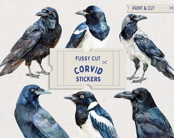 Adesivos Fussy Cut Crow Magpie, Folha de colagem digital, Pássaros aquarelados cortados à mão, Corvos para scrapbooking, Pacote de itens efêmeros, Kit de diário de lixo