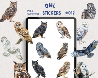 Stickers numériques aquarelle chouette, livre d'autocollants GoodNotes, beaux fichiers PNG numériques, décorations d'agenda, Chouette hulotte, Harfang des neiges, autocollant chouette effraie des cloches