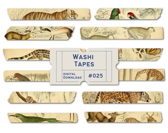 Cinta washi digital, washi de animales del zoológico, washi de la jungla, washi de safari, washi de animales, cintas para agenda, PNG de Goodnotes