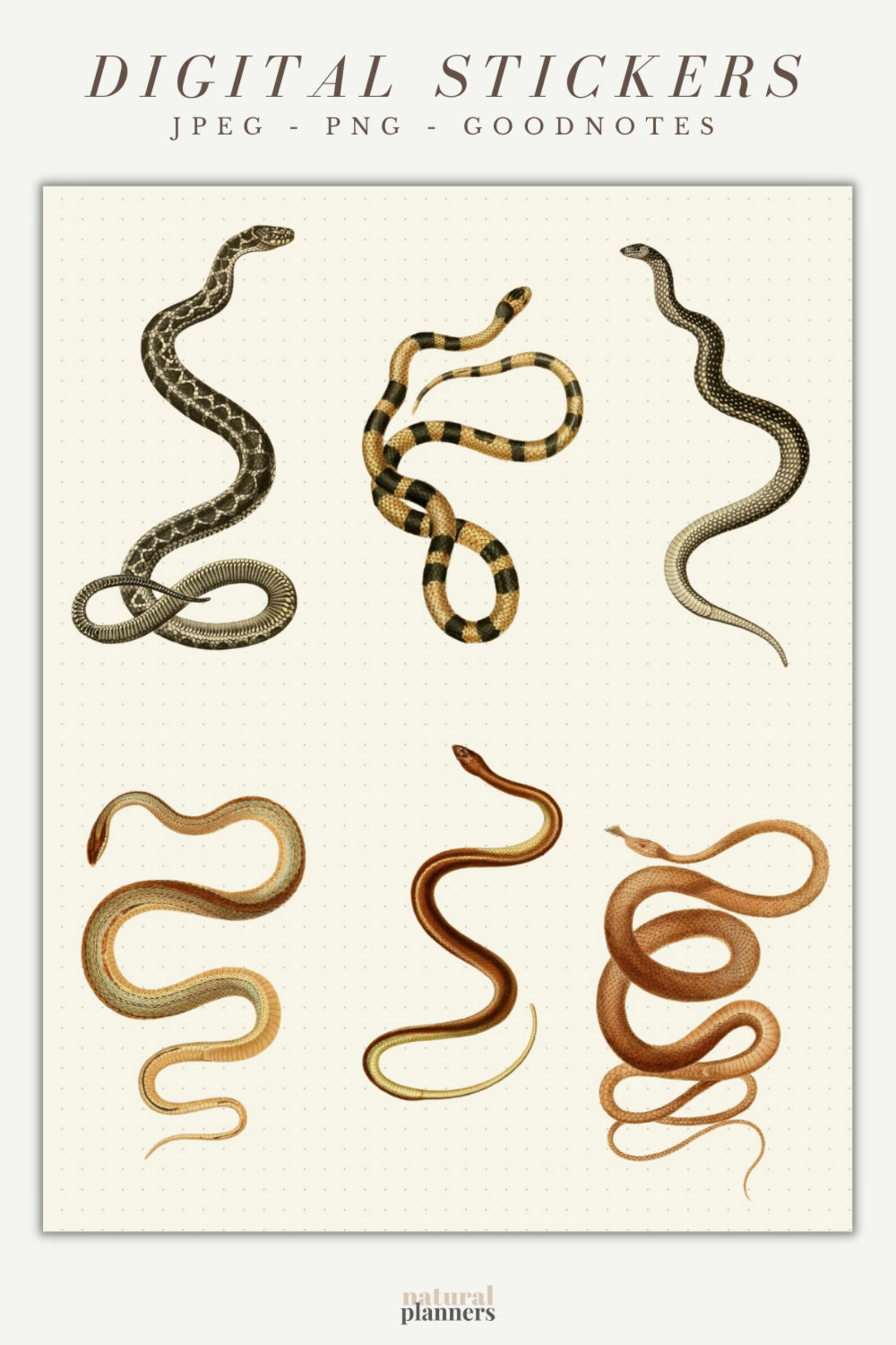 Snake Stickers, Digital Stickers, Dark Academia Natural History ...