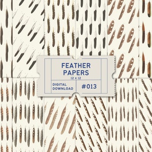 Papéis de penas de pássaros, pacote de papéis digitais, papéis boho, padrões de penas, álbum de recortes, diário de recortes, pássaros vintage, uso comercial aceitável
