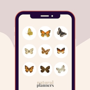 20 Butterfly Natural History Illustration Story Highlight Covers for Instagram, Ig Highlights, Beautiful Aesthetic Ig Feed, Highlight Icons