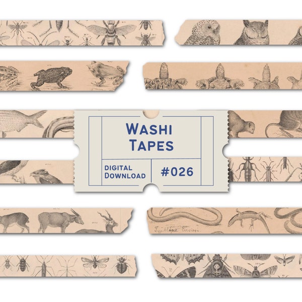 Dark Academia Washi Tapes, Natural History Illustrations Washis, Gothic Witchy Washi Tapes, Planner Tapes, Goodnotes PNGs