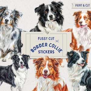 Puede incluir: Cinco diseños de pegatinas imprimibles con diferentes perros Border Collie. Las pegatinas están etiquetadas como "Fussy Cut Border Collie Stickers".