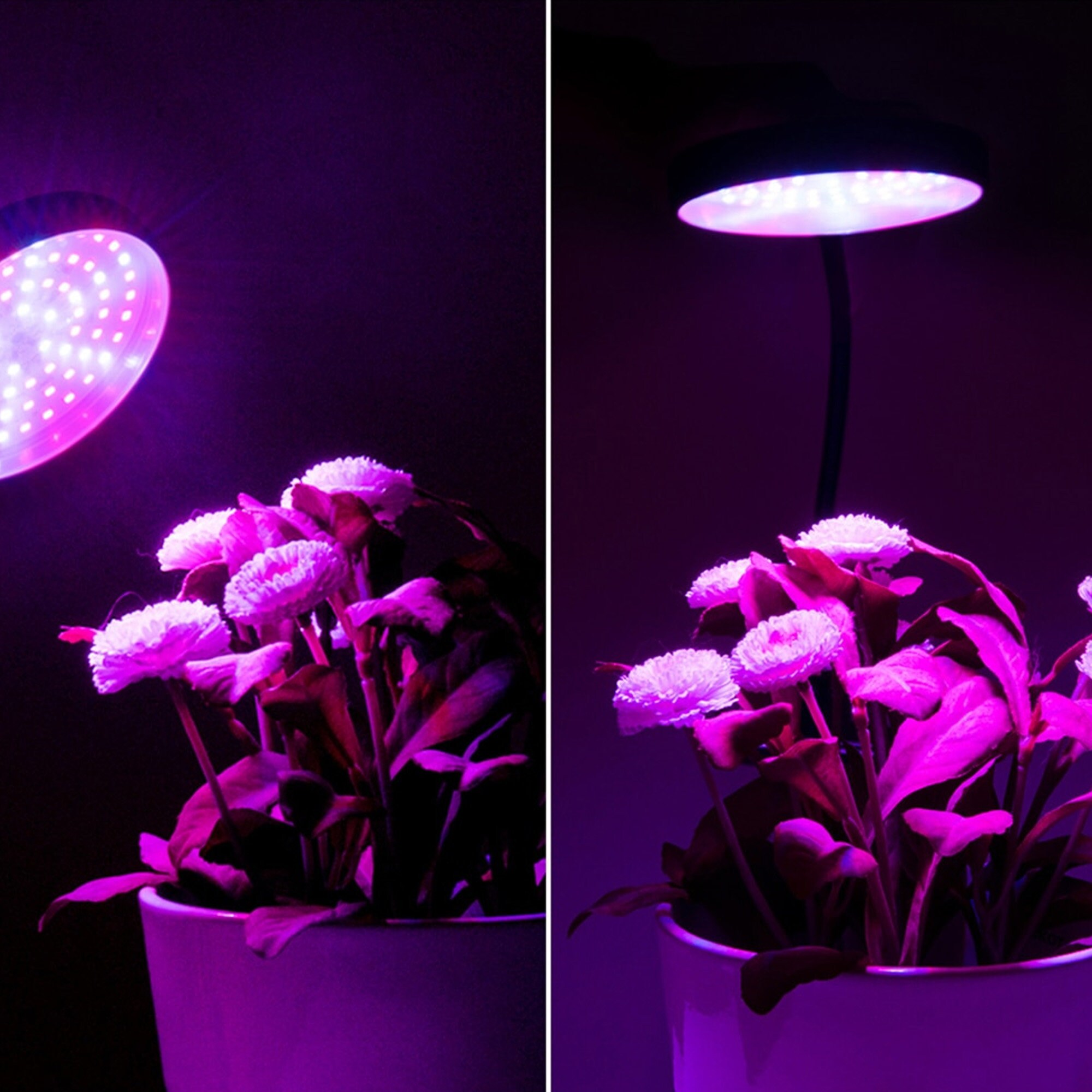 Full Spectrum Growing Lights for Plants USB LED Grow Light Etsy
