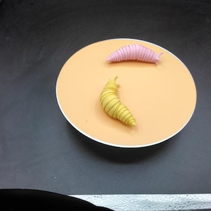 Articulated Slug Toy, 3D Printed Slug Figure, Flexible Slug Fidget Toy, Cute Slug Desk Decor, Unique Slug Gift