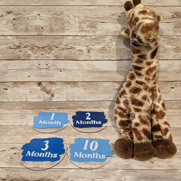 Baby Milestone Disc Monthly Milestones Signs Baby Must Haves Custom Baby Milestone Set Baby Milestone Cards Baby Registry Monthly Pictures