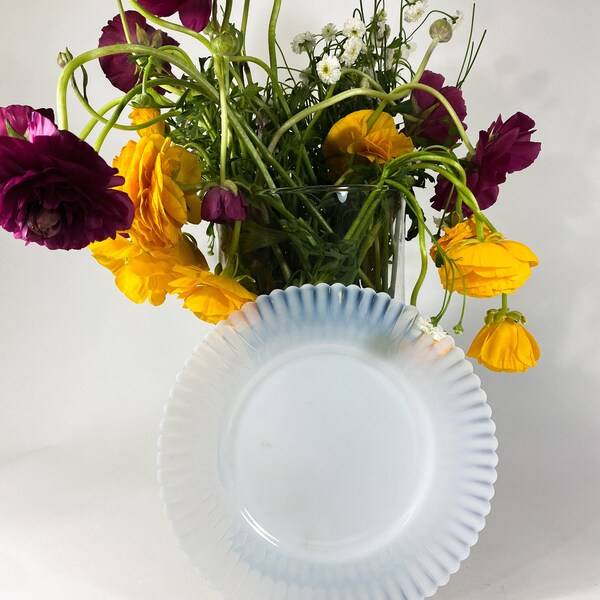 Opalescent Plate Etsy