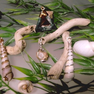 May include: Five different shell pendants, each with a unique shape and color. The pendants are made of natural shells and are strung on silver wire. The shells are a light brown, white, and gray color. The pendants are displayed on a piece of driftwood and green foliage.