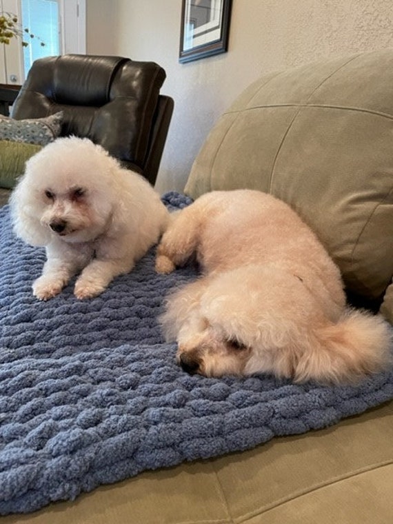 Down blanket for dogs hotsell